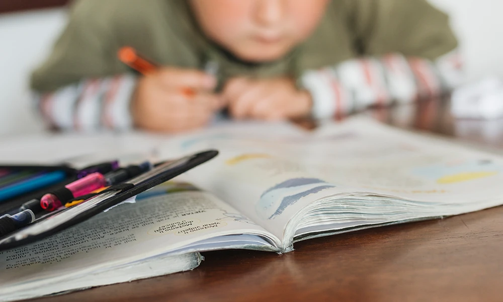 4 Factors for Choosing Between H2 Math and Economics Help
