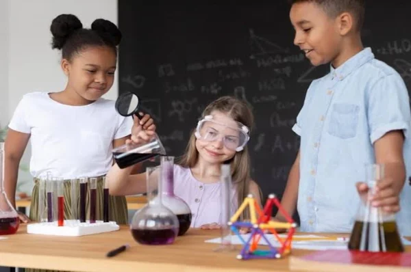 Improve Critical Thinking Through Interdisciplinary Social Science Learning And Practice