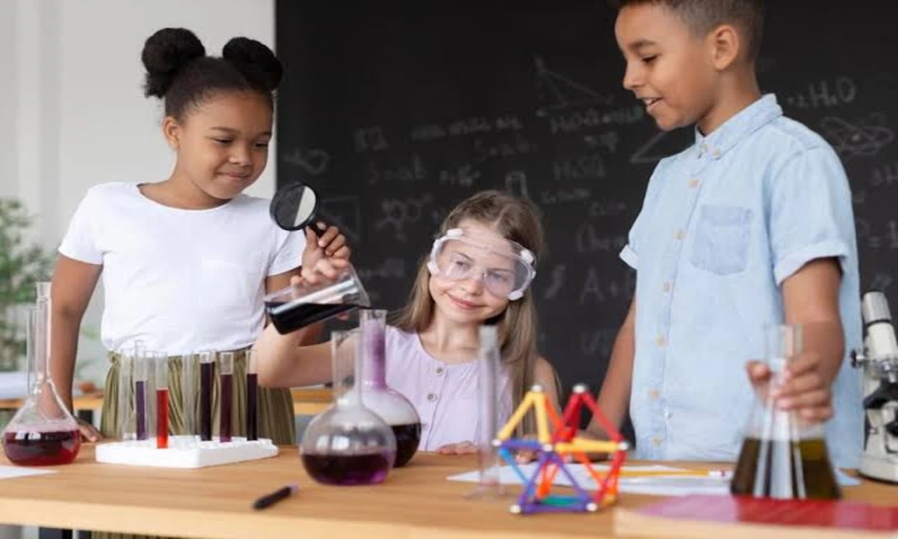 Improve Critical Thinking Through Interdisciplinary Social Science Learning And Practice
